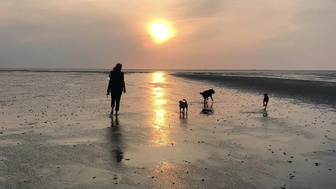 Abendspaziergang im Watt Abendspaziergang im Watt